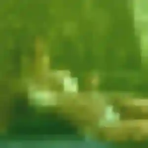 Sexy Marie-Helene, 40 ans à Bourg-des-Comptes - la contacter