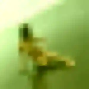 Contacte Romane, 45 ans à Bourg-des-Comptes en privé