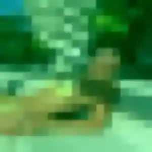 Jolie Touria, 39 ans à Brest - découvrir son profil
