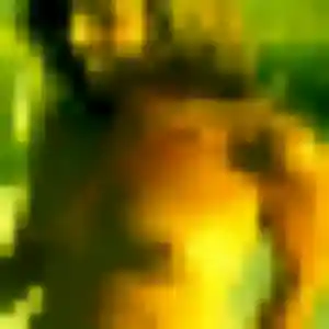 Lina, femme de 45 ans propose rencontre libertine à Chalonnes-sur-Loire