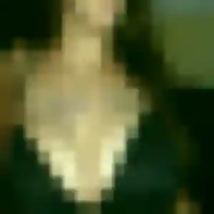 Photo exclusive de Margot, 44 ans à Chartres-de-Bretagne - rencontre coquine