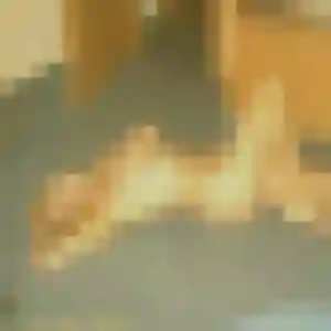 Idalina (20 ans) à Châteaubriant propose une rencontre maintenant