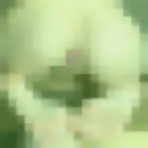 Cindy (39 ans) à Crozon cherche une rencontre rapidement