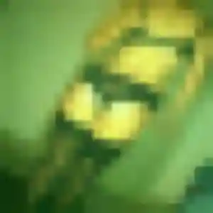 Tessa, 44 ans, disponible à Domloup pour un rencontre libertine