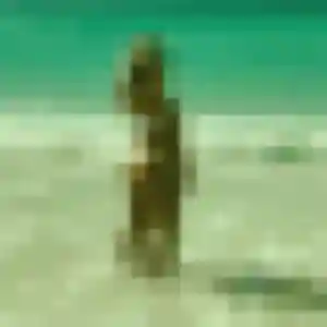 Photo sexy de Maeva, 35 ans à Évron - rencontre coquine