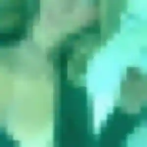 Louise (41 ans) à Fay-de-Bretagne propose une rencontre rapidement