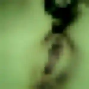 Photo de Jacqueline à Gorges (39 ans) - rencontre libertine discret