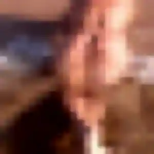 Photo exclusive de Touria, 44 ans à Le Poiré-sur-Vie - rencontre coquine