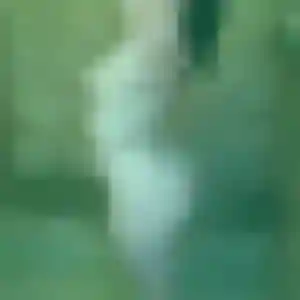 Découvre Henriette, 33 ans à Longué-Jumelles en privé