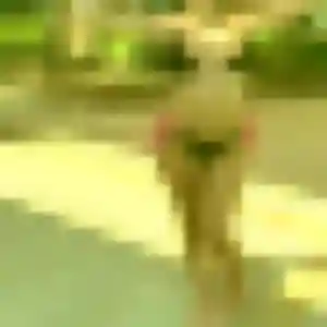 Wilhelmine (40 ans) à Montauban-de-Bretagne propose un rencontre libertine rapidement