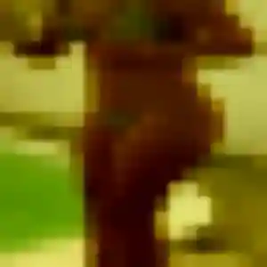 Nina, 36 ans, connectée à Mordelles pour une rencontre coquine