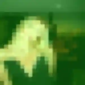 Photo privée de Eliane, 41 ans à Pleuven - rencontre coquine