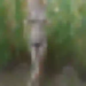 Mia, 27 ans, dispo pour rencontre libertine à Plogonnec