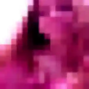 Photo de Sylvie à Plouhinec (26 ans) - rencontre libertine discret