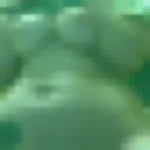 Nolwenn, femme de 20 ans cherche rencontre libertine à Pont-l'Abbé
