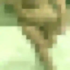 Photo privée de Catherine, 34 ans à Saint-Aignan-Grandlieu - rencontre coquine