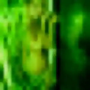 Photo de Eglantine à Sautron (25 ans) - rencontre libertine gratuit
