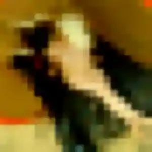 Eva, 23 ans, connectée à Trélazé pour une rencontre coquine