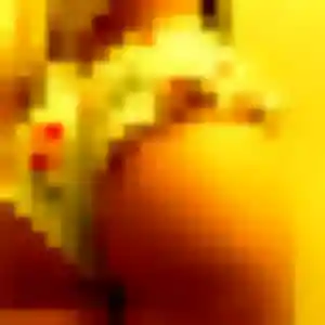 Rencontre Solene, 33 ans à Val d'Anast en privé