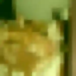 Photo de Mia à Vezin-le-Coquet (33 ans) - rencontre libertine gratuit